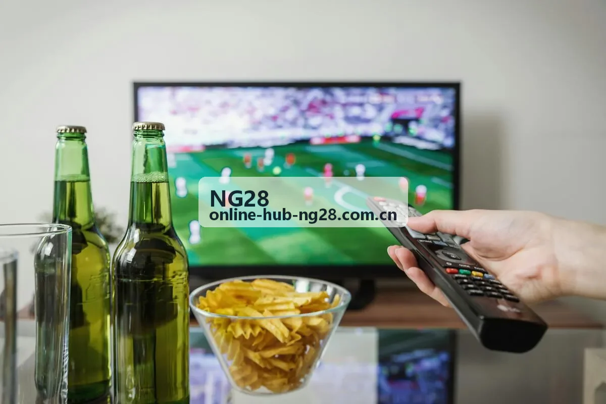 NG28 体能测试系统